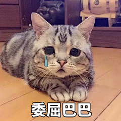 将军救我采集到表情包