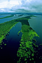 [] Rio Negro, the Amazon