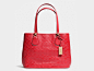 大妈牌COACH难得好看的包包，情人节送红色最好不过的。