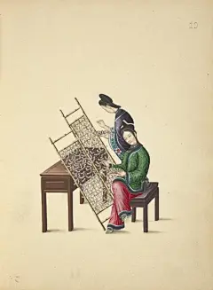 清代广州通草画 工笔画欣赏