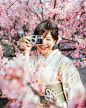 春日来信樱花和服旅拍