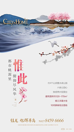 图片搬运工111采集到122121