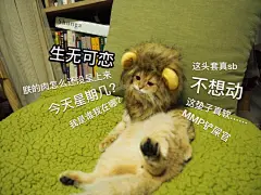 戴上了万兽之王版防自摸耻辱圈
仍不影响帅气逼人英俊潇洒邪魅狂狷的我成为亿万少女の梦中情人

@鸸鹋动物园 @猫咪表情包 @宝榛的动物园儿ww ​​​​