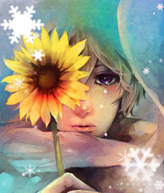 婉媄💞采集到花开满季