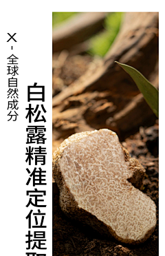 MOT-佩奇采集到仙子蕾蕾排