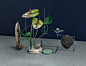 Botanique : A set of concepts mixing plants, geometry, color and light.