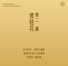 Angesa_lv采集到公众号排版