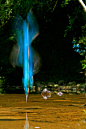 翠鸟入水的那惊鸿一瞥，犹如一道蓝色火焰。



