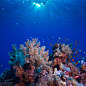 Vitaliy Sokol在 500px 上的照片Colors Of Red Sea