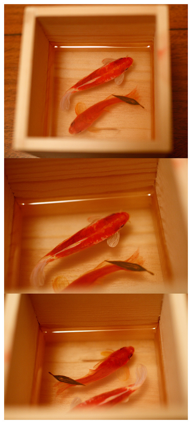 我画的3d滴胶金鱼