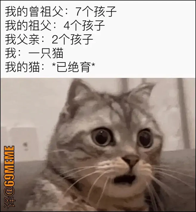 (94 封私信 / 80 条消息) meme图 - 搜索结果 - 知乎-花瓣网