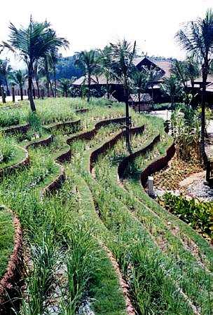 Project: Kampung War...