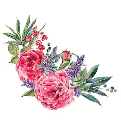 手绘水彩月季花唯美花环边框高清图片合集  - PS饭团网psefan.com