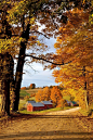 佛蒙特秋天的农场~ 在落叶与夕照之间，在未来与现实之野。#风景##秋意#