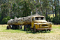 Trucks transporting trees: 1 thousand results found on Yandex Images