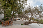 Las Rocas别墅，墨西哥 / Ignacio Urquiza Arquitectos - 谷德设计网