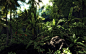 Crysis forests wallpaper (#88808) / Wallbase.cc