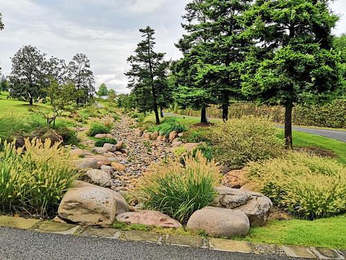 雨水花园_百度图片搜索