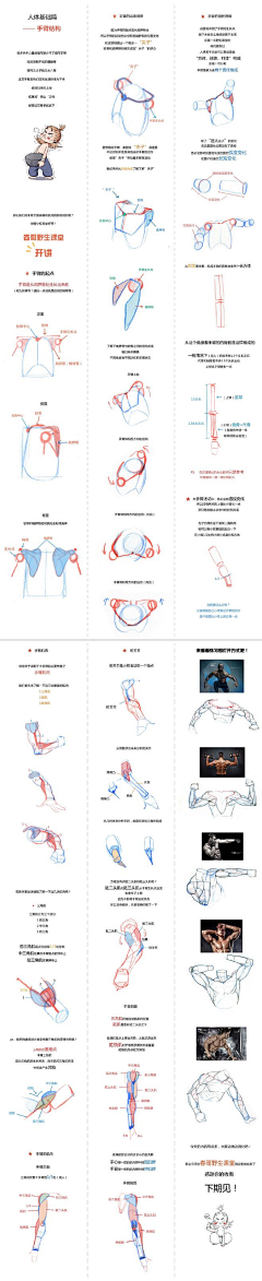 Ahven采集到Art-素描-人体解剖