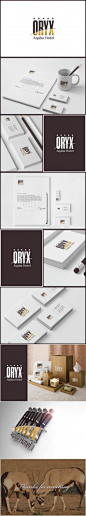 Oryx aqaba酒店品牌VI设计方案一