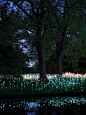 British light artist Bruce Munro has announced his second-ever U.S. show. He will return to exhibit “Light,” a collection of 10 large-scale outdoor lighting installations coupled with indoor sculptures at the Cheekwood Botanical Garden in Nashville, Tenne