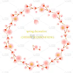 边框,樱桃树,可爱的,华丽的,请柬,贺卡,结婚请柬,华贵,多样,芳香疗法