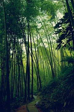 耶耶耶yeyeye采集到风景