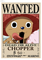 WANTED