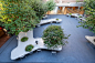 【校园-中庭】充满活力的友好型庭院：上海树桌花园/大观景观设计