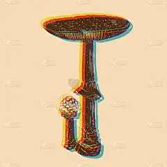 蘑菇。矢量插图。