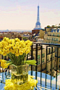 Yellow roses in Paris