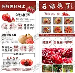 石榴熟了 【酷图网】石榴宣传,突尼斯,淘宝美工,石榴易拉宝,石榴彩页,石榴宣传画,石榴海报,石榴展架,