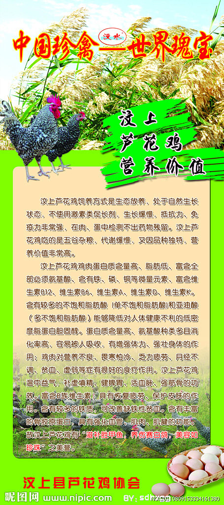 芦花鸡源文件