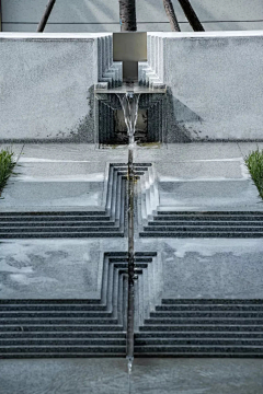 吃鱼的猫儿采集到水景