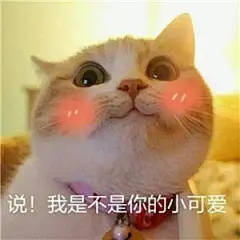 微信专用表情包表情包_微信专用表情包表情包下载_微信专用表情包动态gif表情图-4399聊天表情包大全