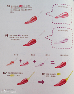 柑橘橙采集到手绘