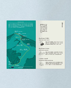 FORESTING采集到画册 l 折页 l 单页