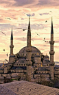 土耳其伊斯坦布尔，蓝色清真寺