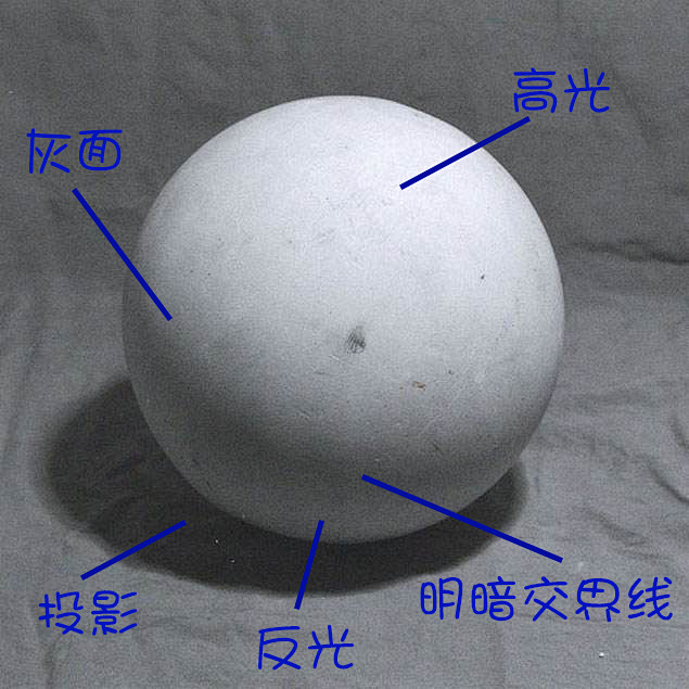 【素描教程】“三大面五大调”的定义及其实...
