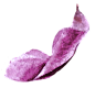 水彩PNG