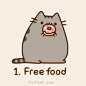 Pusheen the cat