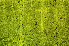 黄色抽象墙背景与不同色调的黄色纹理