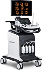 Samsung WS80A OB/GYN Ultrasound with Elite Performance Package: 