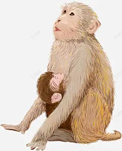 手绘猴子高清素材 动物 卡通 可爱 手绘 猴子 元素 免抠png 设计图片 免费下载 页面网页 平面电商 创意素材