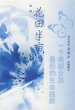 清男采集到树脉铺地
