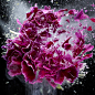 Marcel Christ - Still Life Photographer
