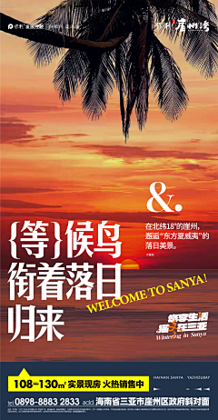 U8FMd8cz采集到海南