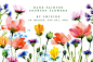 手绘水彩画的乡村花卉装饰图案纹理素材Watercolor Country Flowers插图