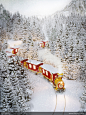 从松树林中穿过的圣诞火车高清图片