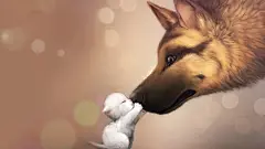 狼的母性壁纸高清素材